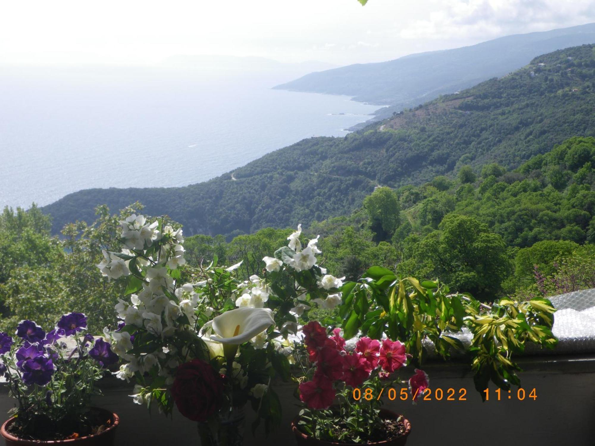 Villa Georgie Tsagarada Exterior photo