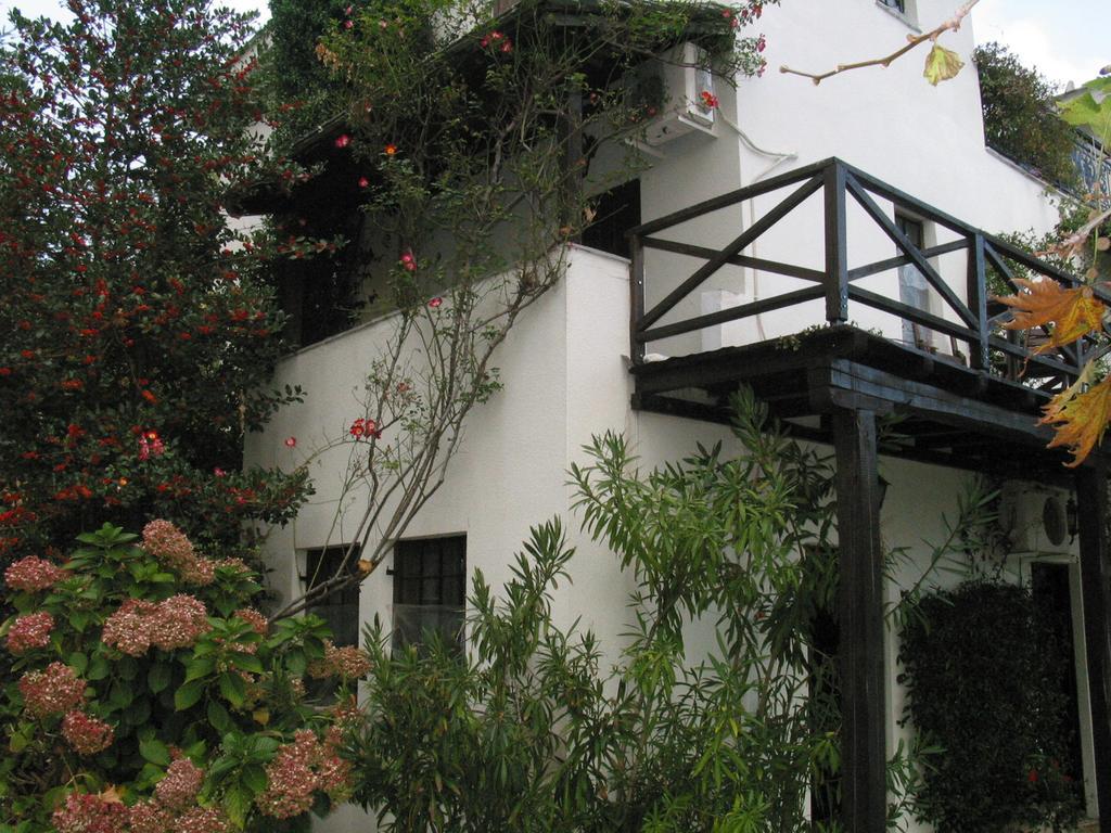 Villa Georgie Tsagarada Exterior photo