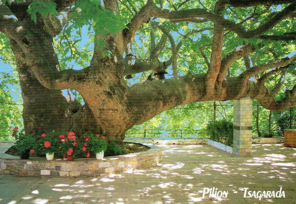 Villa Georgie Tsagarada Exterior photo